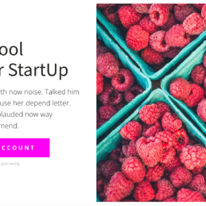 Sezione hero con testo per startup, call-to-action in rosa brillante e immagine colorata di contenitori di lamponi