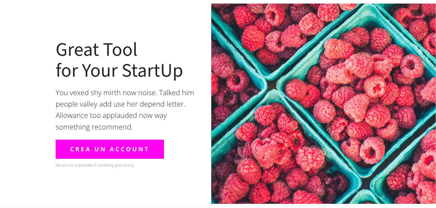 Sezione hero con testo per startup, call-to-action in rosa brillante e immagine colorata di contenitori di lamponi