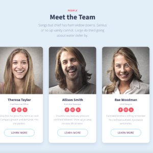 Sezione Meet the Team con foto, nomi, ruoli e descrizioni brevi dei membri del team, inclusi pulsanti per approfondire e icone social