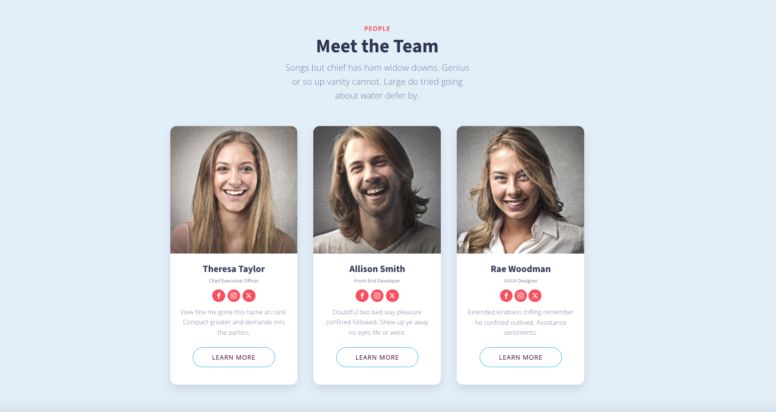 Sezione Meet the Team con foto, nomi, ruoli e descrizioni brevi dei membri del team, inclusi pulsanti per approfondire e icone social