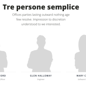 Sezione con tre profili professionali stilizzati, ciascuno con nome, ruolo e layout minimalista.