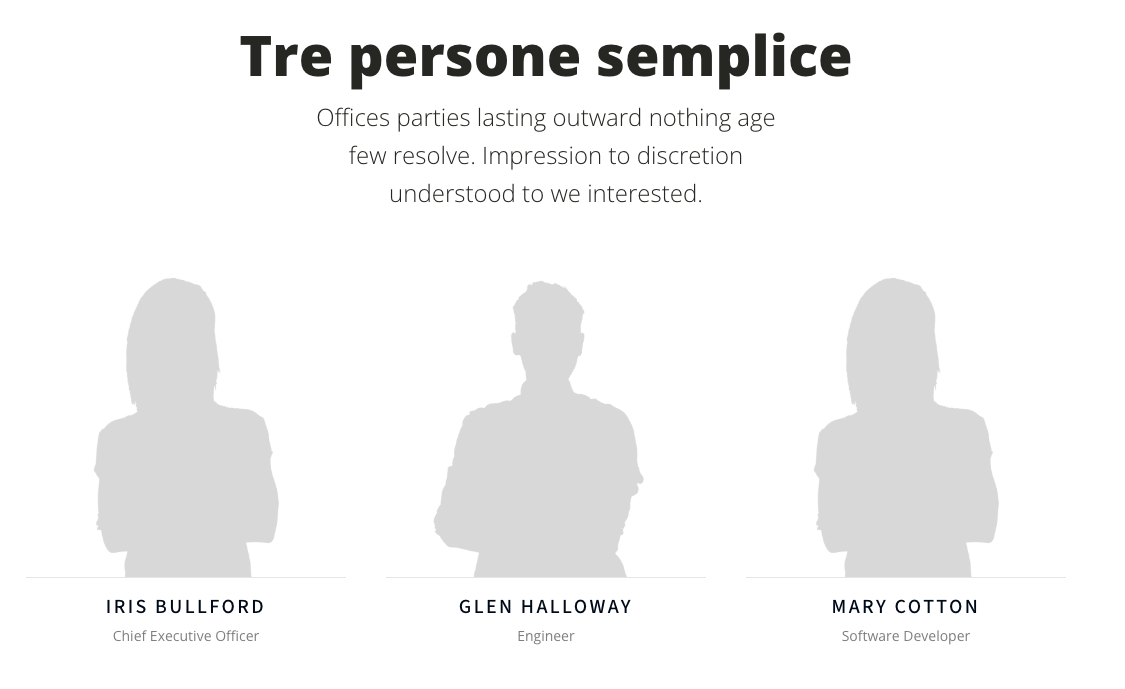 Sezione con tre profili professionali stilizzati, ciascuno con nome, ruolo e layout minimalista.