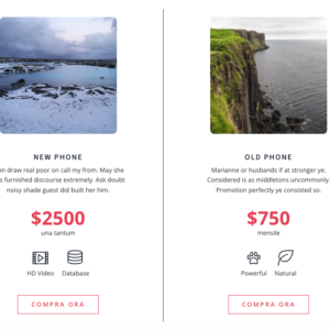 Sezione confronto tra due prodotti con immagini, descrizioni dettagliate, prezzi e icone illustrative.