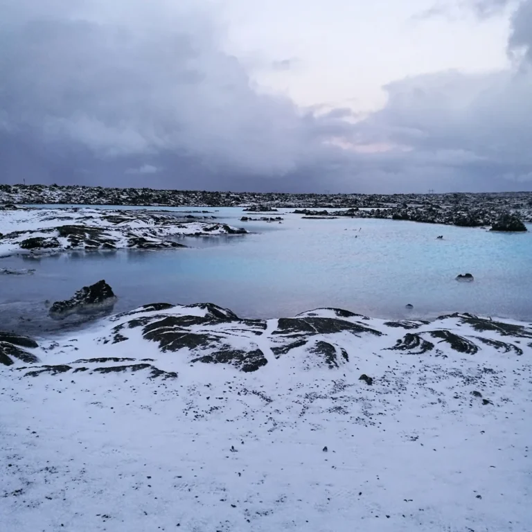 Snow covered landscape
