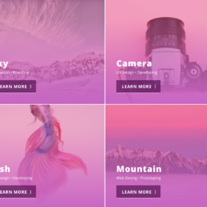 Sezione portfolio con griglia interattiva, immagini colorate e pulsanti 'Learn More' per esplorare i progetti.