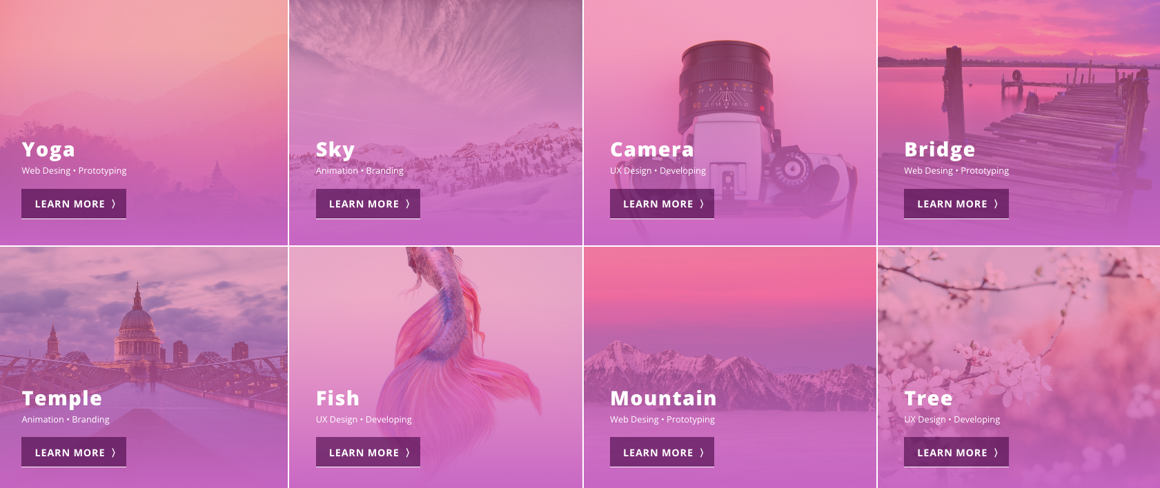 Sezione portfolio con griglia interattiva, immagini colorate e pulsanti 'Learn More' per esplorare i progetti.